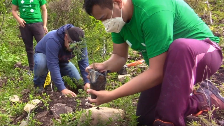 Acciones conscientes para un futuro próspero